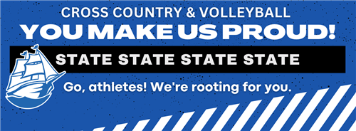 cross country and volleyball state graphic